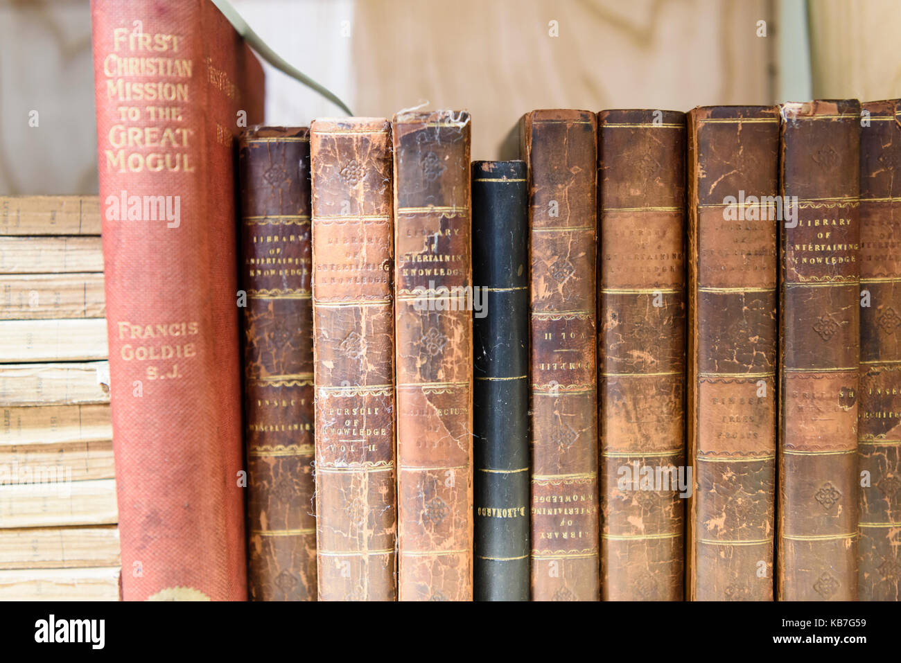 Vecchio Irish teologia dei libri in una biblioteca specializzata in storia irlandese. Foto Stock