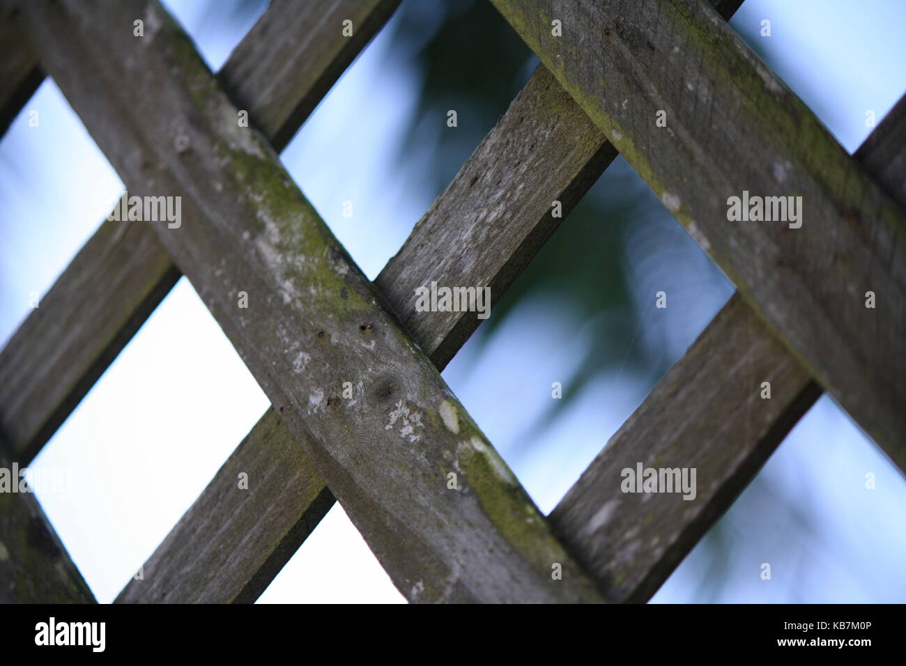 Una bella foto da La mia collezione Foto Stock