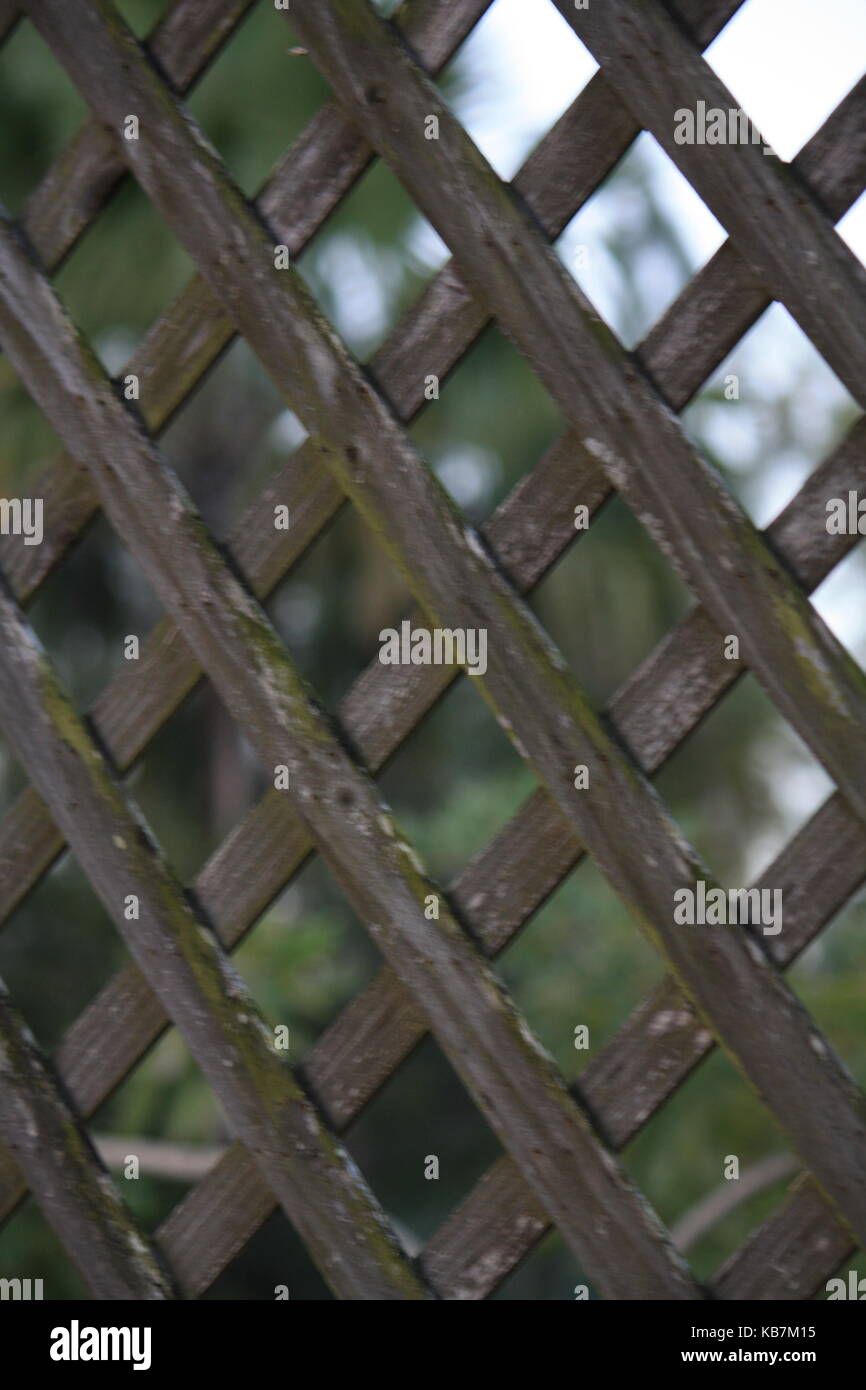 Una bella foto da La mia collezione Foto Stock