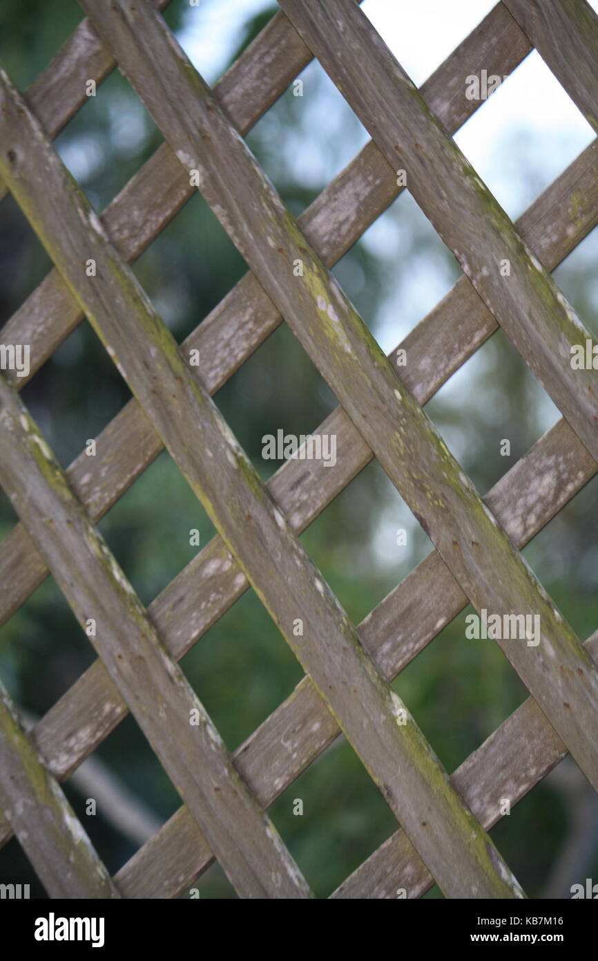 Una bella foto da La mia collezione Foto Stock