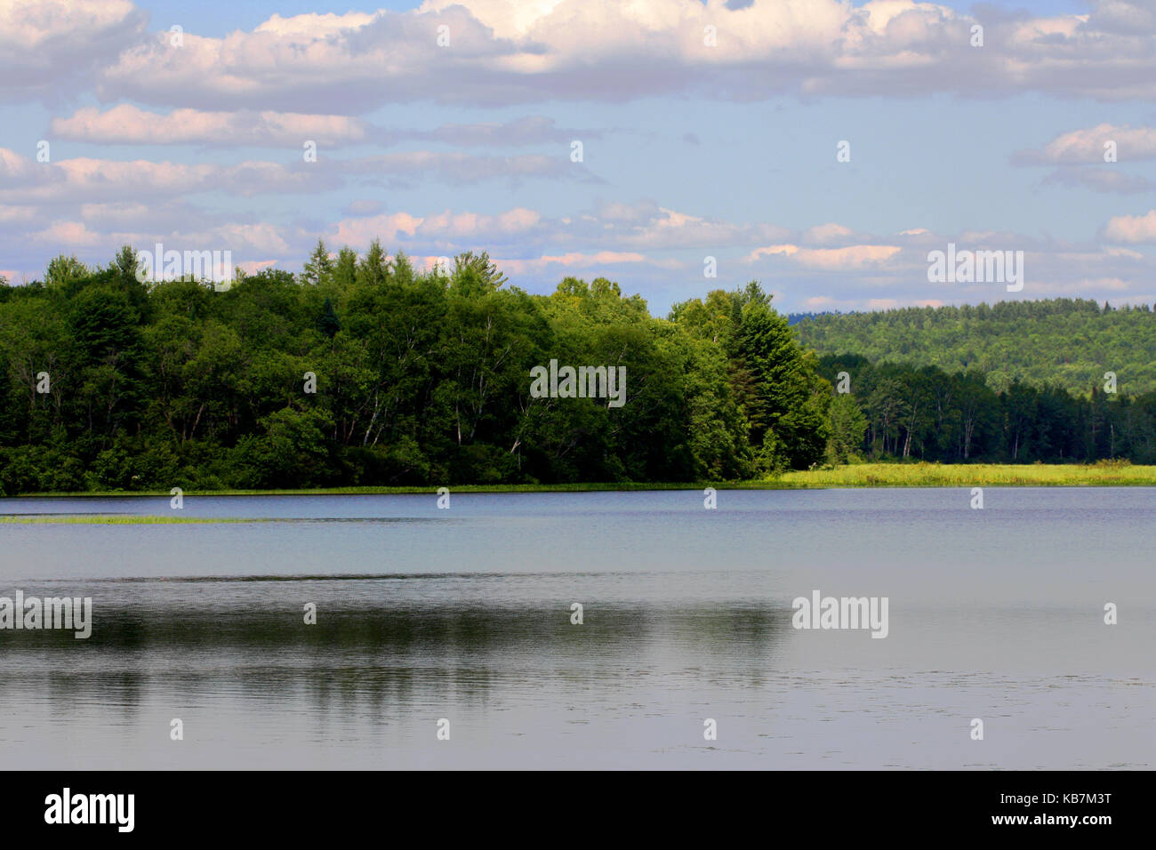 Una bella foto da La mia collezione Foto Stock