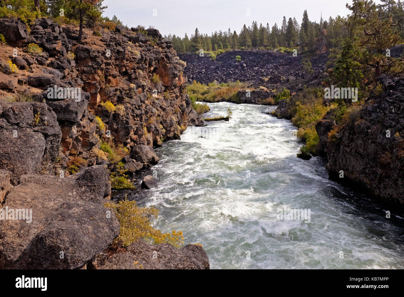 Il fiume Deschutes nel centro di Oregon, lungo il fiume Deschutes Trail. Foto Stock