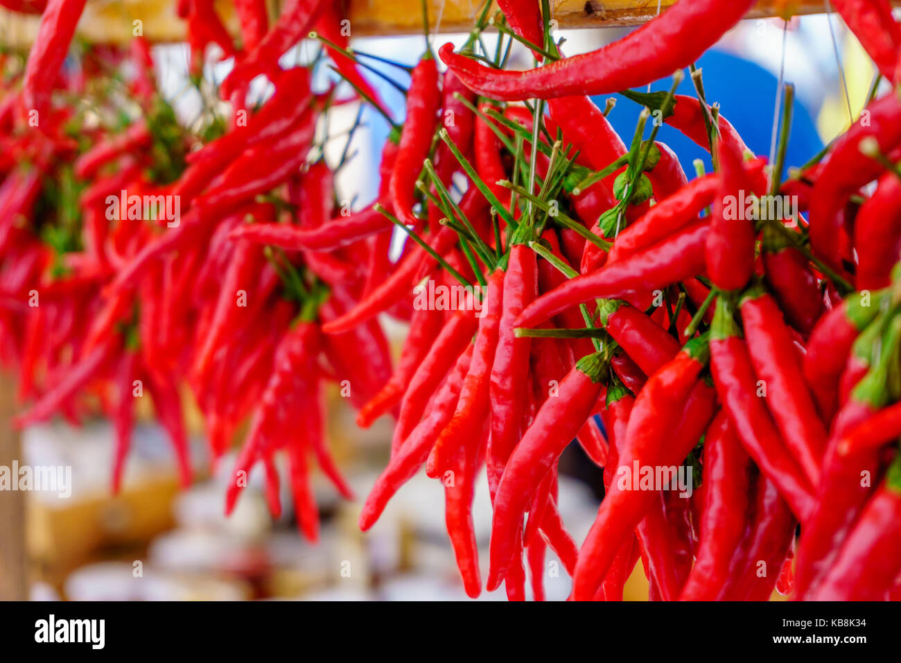 Righe del peperoncino appendere insieme Foto Stock