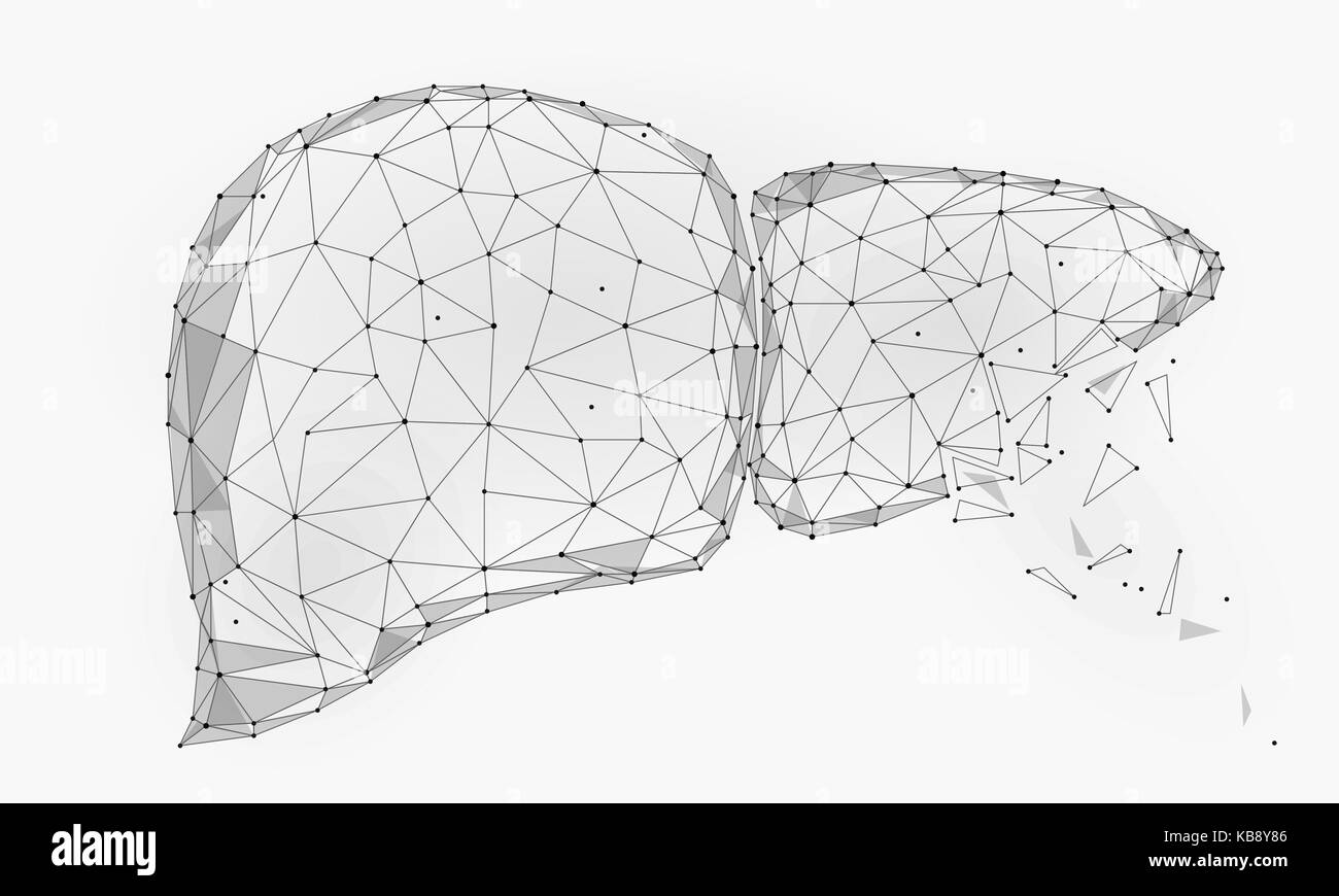 Trattamento di decadimento di rigenerazione del fegato umano organo interno triangolo bassa poli. punti collegati bianco grigio colore tecnologia 3D modello medicina corpo sano parte illustrazione vettoriale Illustrazione Vettoriale