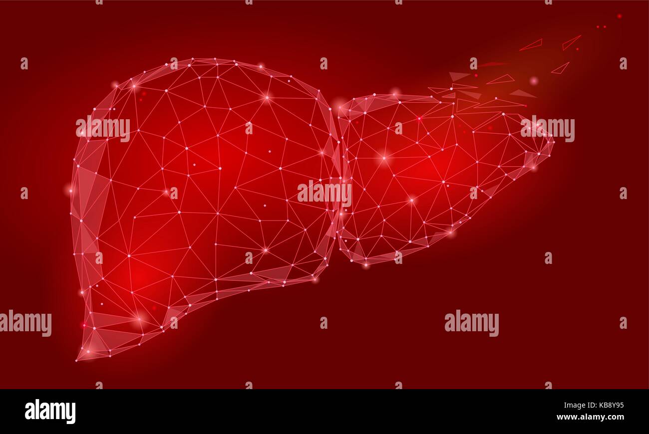 Trattamento di decadimento di rigenerazione del fegato umano organo interno triangolo bassa poli. punti collegati il colore rosso della tecnologia 3D modello medicina corpo sano parte illustrazione vettoriale Illustrazione Vettoriale