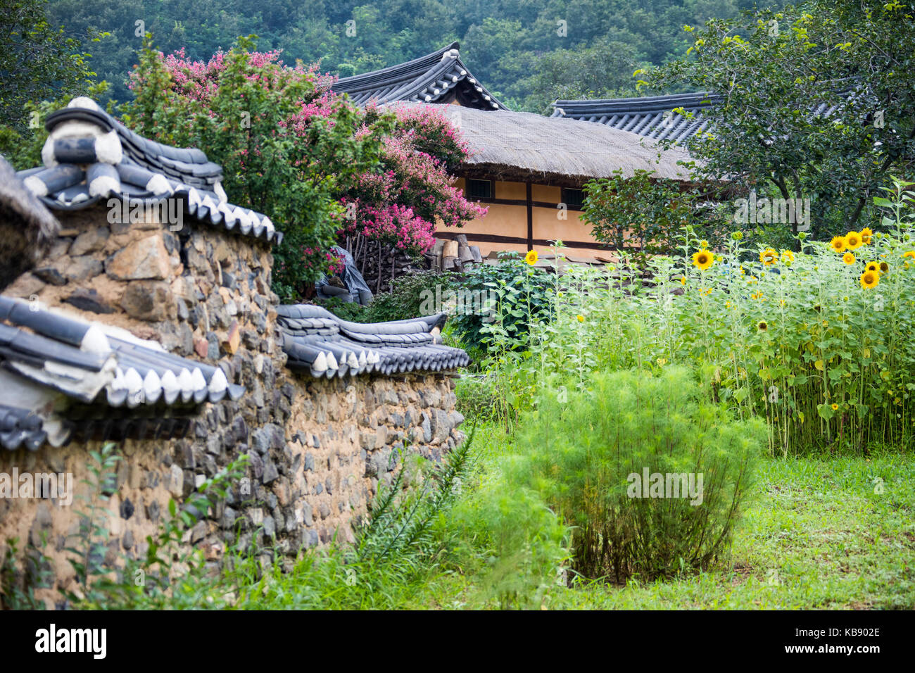 Villaggio Wanggok, architettura tradizionale villaggio storico in Goseong, Corea del Sud Foto Stock