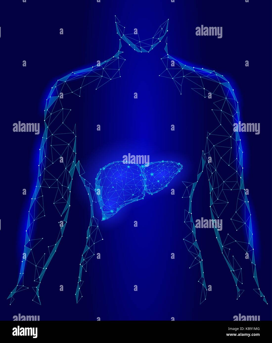 Trattamento di decadimento di rigenerazione del fegato umano organo interno triangolo bassa poli. punti collegati il colore blu la tecnologia 3D modello medicina corpo sano parte illustrazione vettoriale Illustrazione Vettoriale