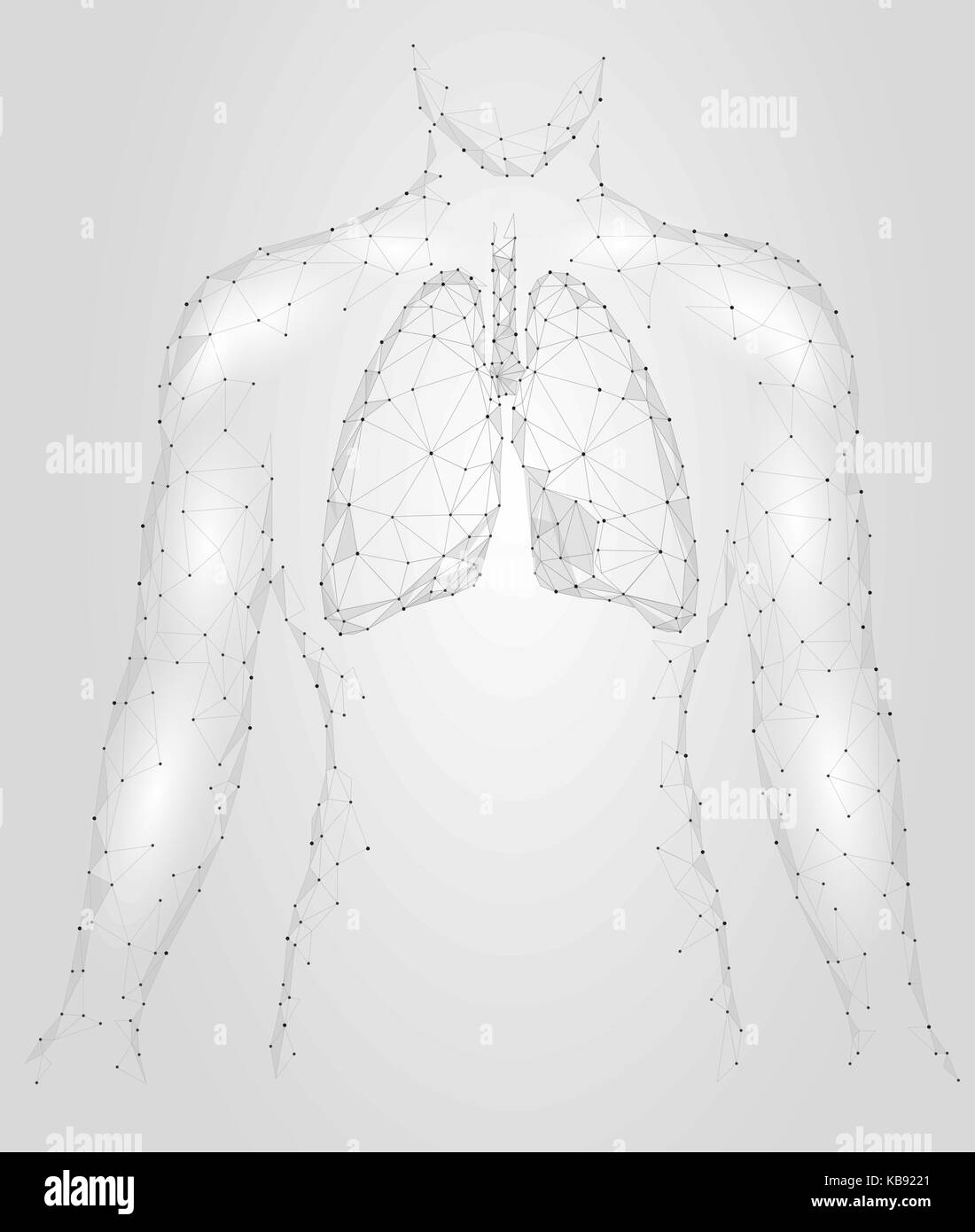 Polmoni umani infezione polmonare organo interno. Il sistema respiratorio all'interno del corpo silhouette. bassa poli 3d di punti collegati a triangolo design poligonale. grigio bianco colore di sfondo illustrazione vettoriale Illustrazione Vettoriale Polmoni umani infezione polmonare organo interno. Il sistema respiratorio all'interno del corpo silhouette. bassa poli 3d di punti collegati a triangolo design poligonale. grigio bianco colore di sfondo illustrazione vettoriale Illustrazione Vettoriale