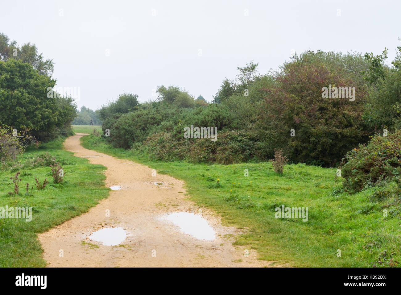 Il sentiero conduce attraverso Turbary locale comune di riserva su una mattina nuvoloso nel primo autunno, Dorset, Regno Unito Foto Stock