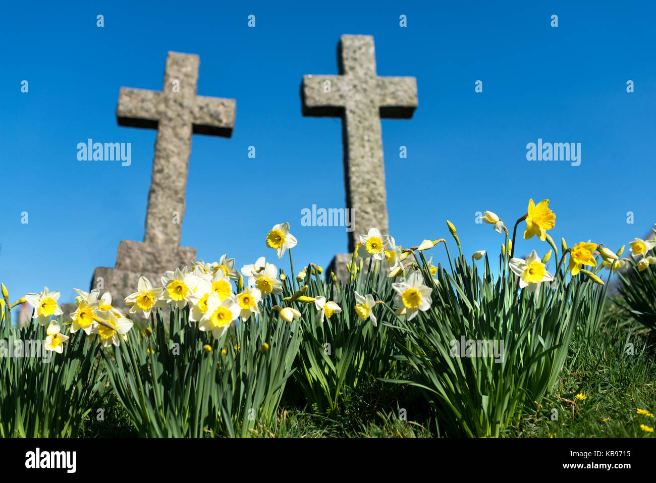 Vecchio attraversa in granito nel sagrato. edificante shot con un cielo azzurro e sole primaverile e narcisi. spazio copia Foto Stock