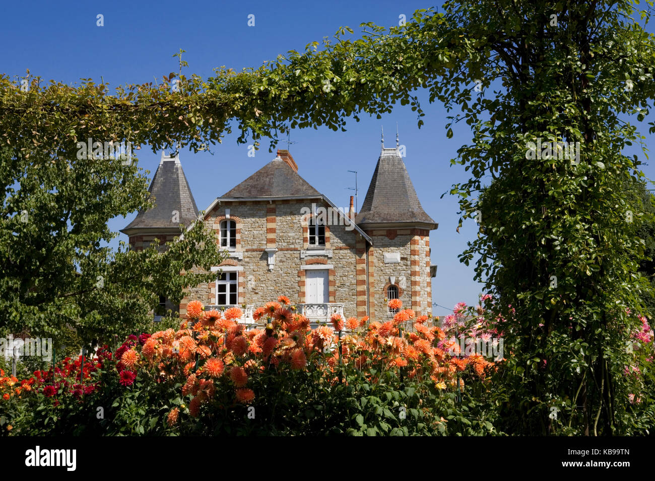 Un display vibranti di crisantemi nei Jardins du Thabor, Rennes, Bretagna, con una bella casa in Boulevard de la Duchesse Anne oltre Foto Stock