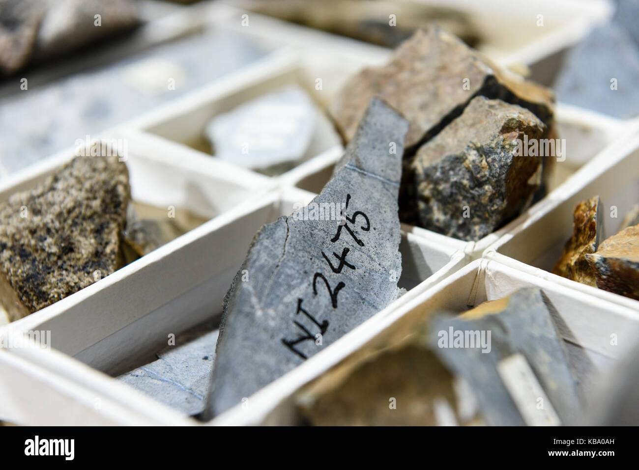 Nucleo di roccia campioni presso il Servizio geologico nazionale dell'Irlanda del Nord. Foto Stock