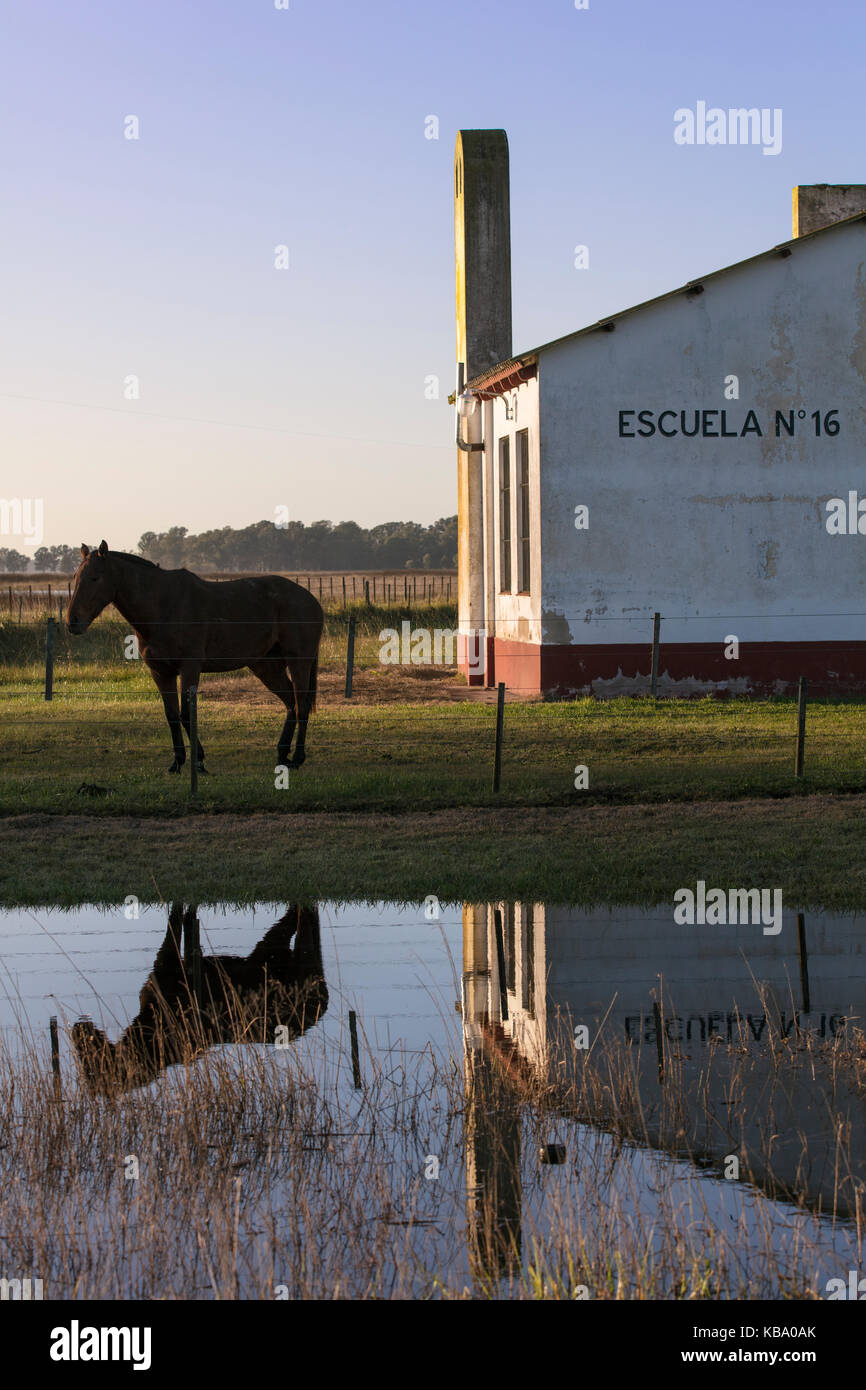 Un cavallo nella parte anteriore di una scuola rurale. las flores, argentina. Foto Stock