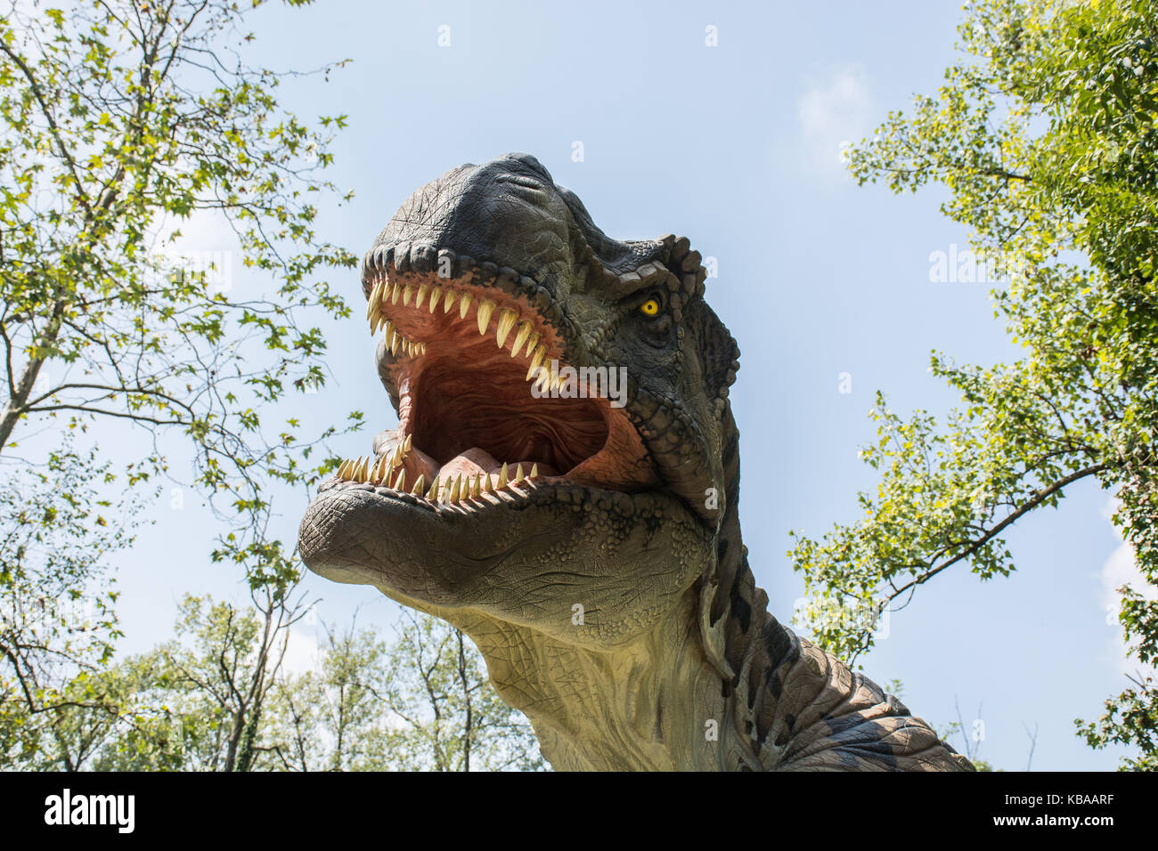 Tyrannosaurus rex nella natura selvaggia Foto Stock