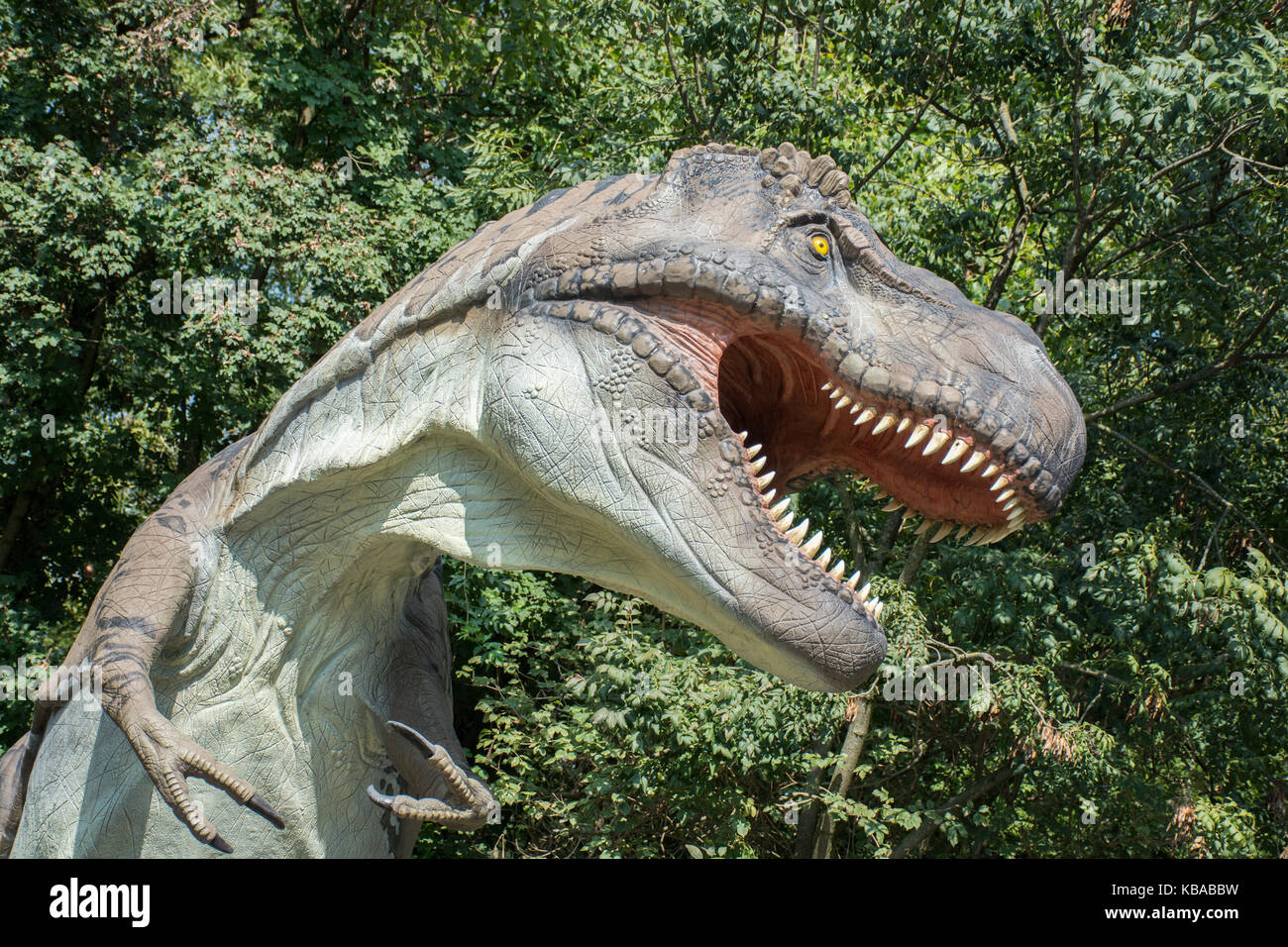 Tyrannosaurus rex nella natura selvaggia Foto Stock