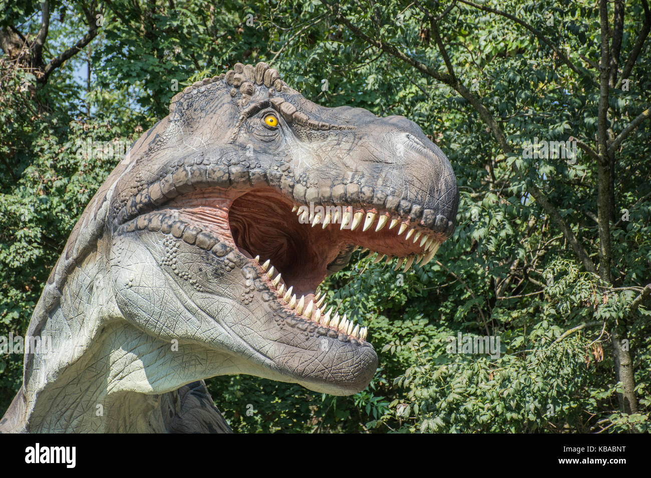 Tyrannosaurus rex nella natura selvaggia Foto Stock