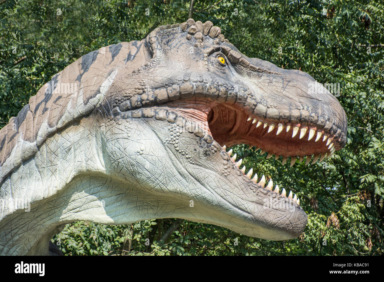 Tyrannosaurus rex nella natura selvaggia Foto Stock