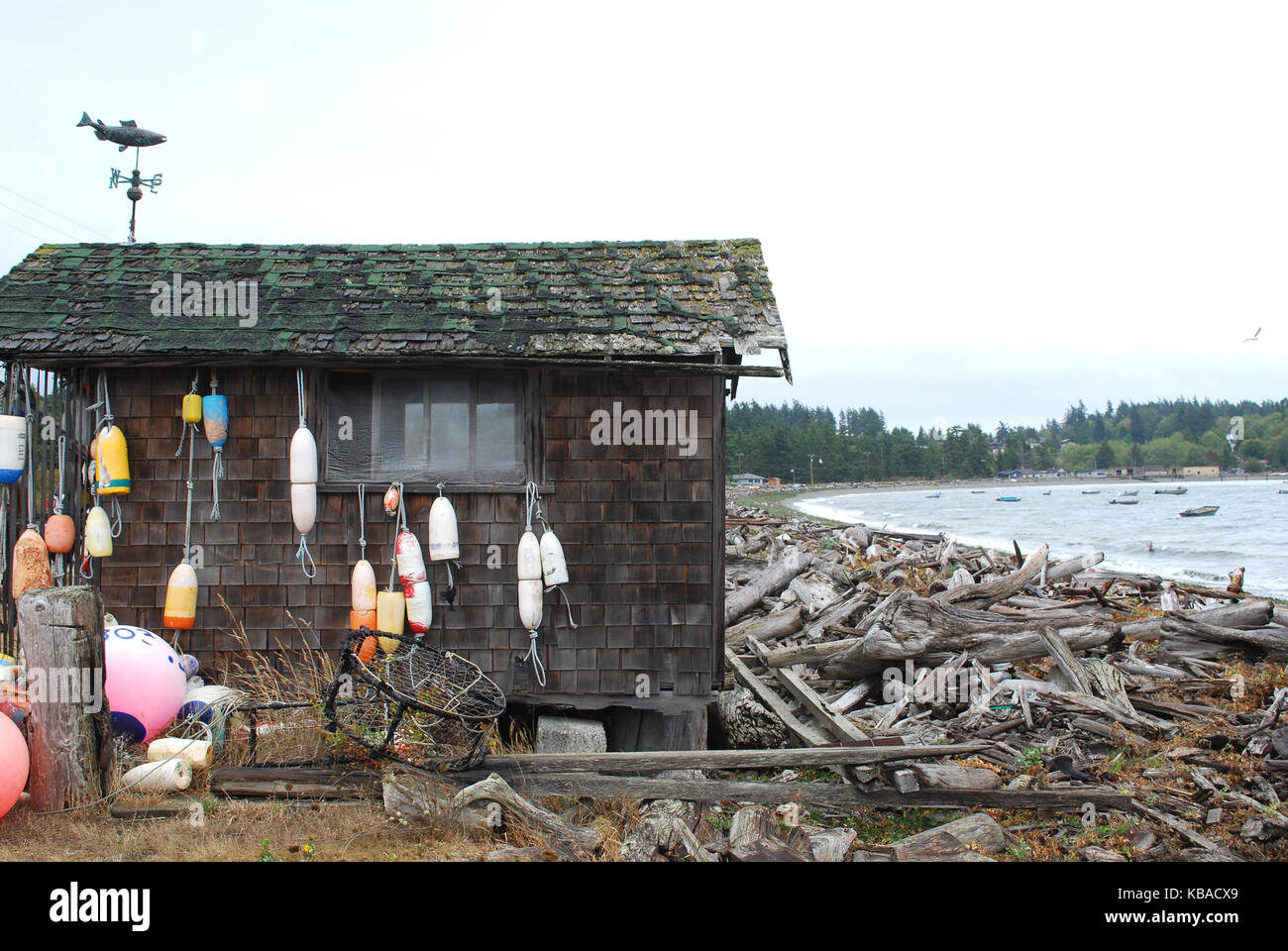 La boa è appeso su una rustica capanna sulla spiaggia su Lummi Island, Washington, Stati Uniti d'America Foto Stock