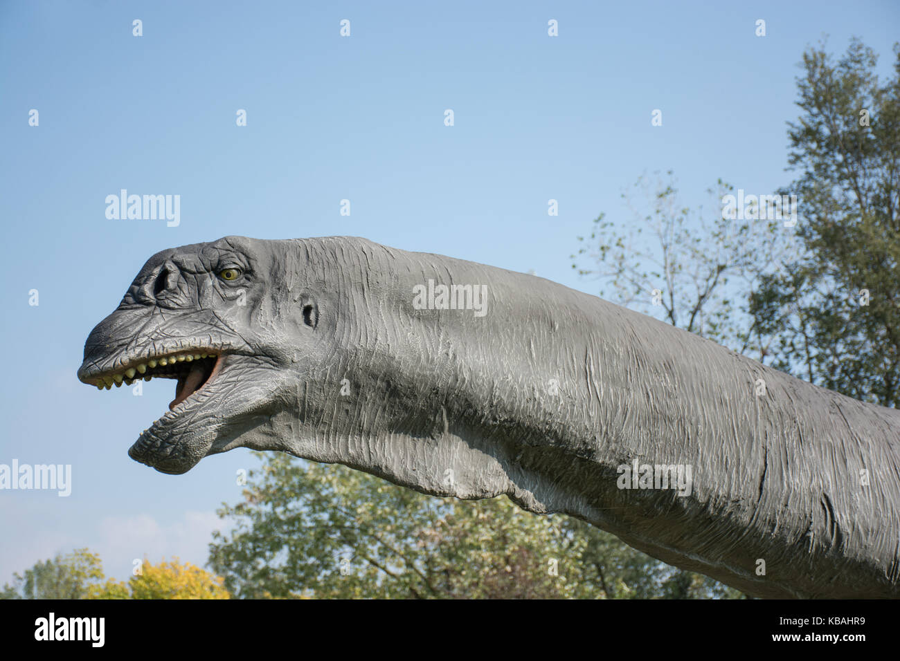 Brontosaurus Foto Stock