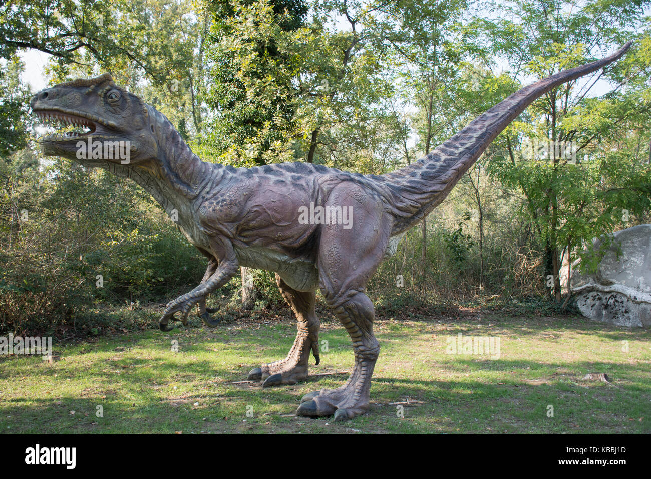 Saltriosaurus Foto Stock