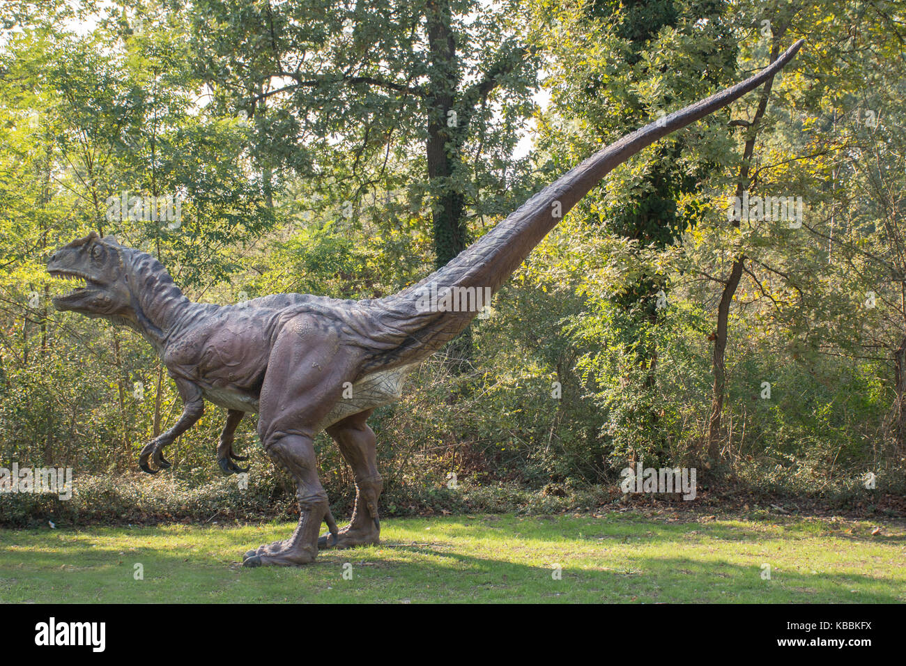 Saltriosaurus Foto Stock