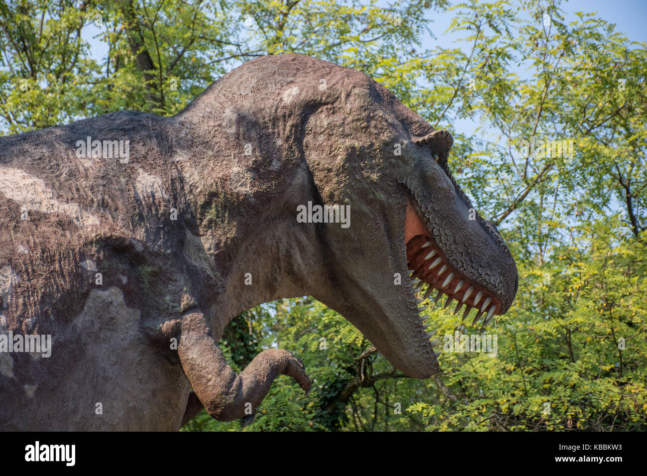 Tyrannosaurus rex nella natura selvaggia Foto Stock