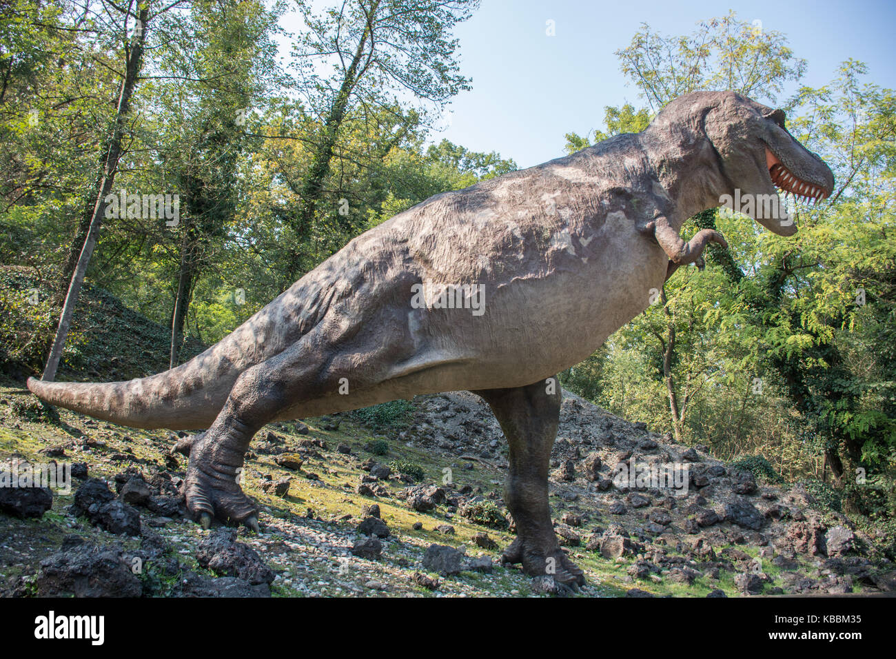 Tyrannosaurus rex nella natura selvaggia Foto Stock