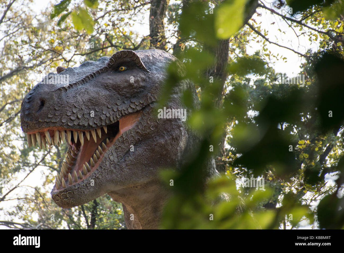 Tyrannosaurus rex nella natura selvaggia Foto Stock