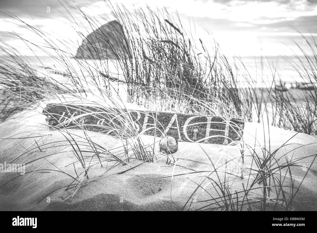 Legno " La vita è una spiaggia' segno sulla duna di sabbia con galleggiante di vetro nella Città del Pacifico, Oregon, Stati Uniti Foto Stock
