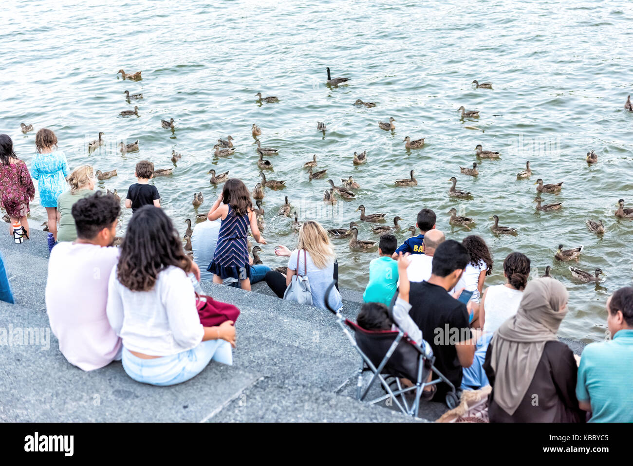 Washington DC, Stati Uniti d'America - 4 Agosto 2017: persone sedute in Georgetown Waterfront Park sul lungofiume in serata con il fiume Potomac alimentazione di anatre e oche Foto Stock