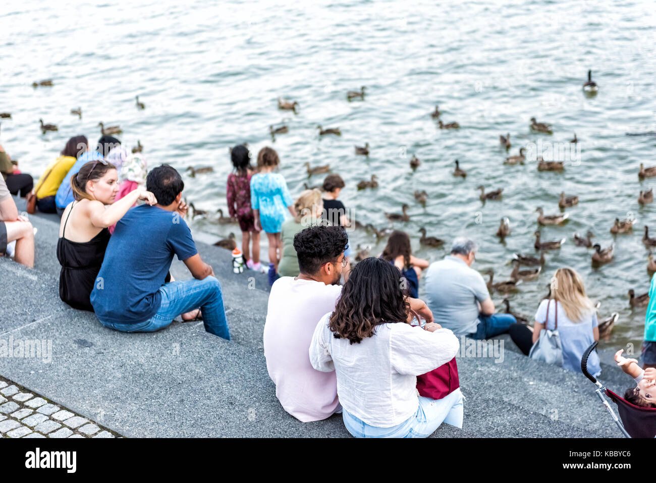 Washington DC, Stati Uniti d'America - 4 Agosto 2017: persone sedute in Georgetown Waterfront Park sul lungofiume in serata con il fiume Potomac alimentazione di anatre e oche Foto Stock