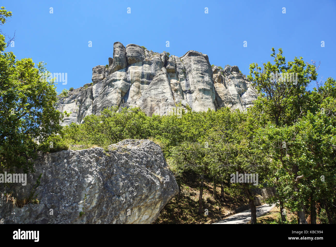 Giant pietre taglienti tra l'erba sulla parte superiore dei prati di montagna in verticale del paesaggio di montagna Foto Stock