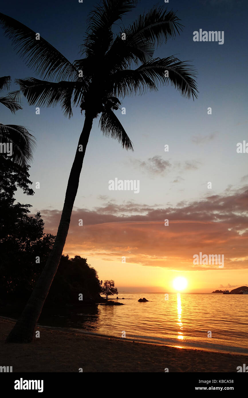 Silhouette di Palm tree durante l'arancione tramonto nell'oceano tropicale in Flores, Indonesia. Foto Stock