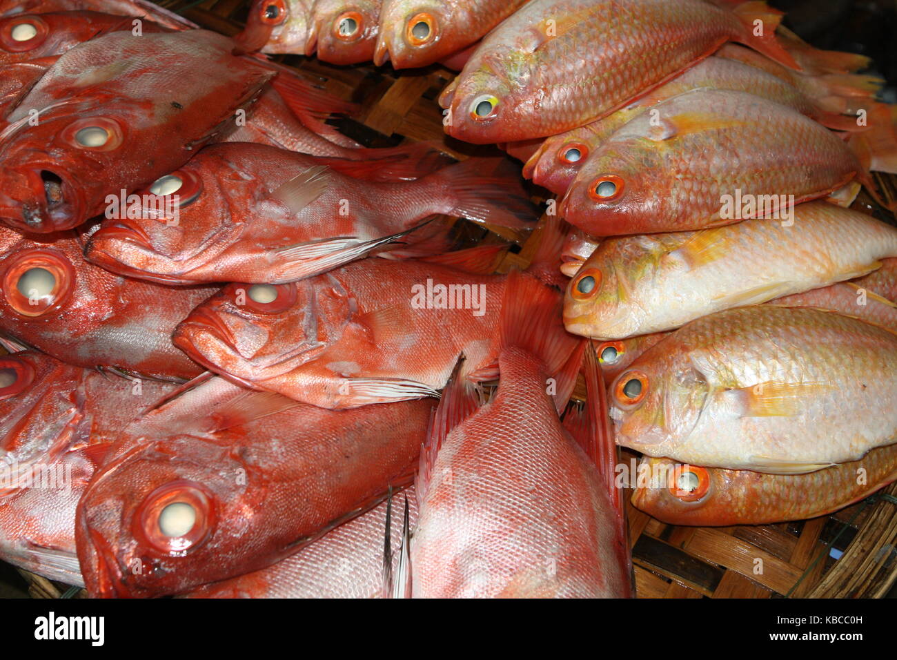 Pesce rosso e pesce giallo sul mercato Foto Stock