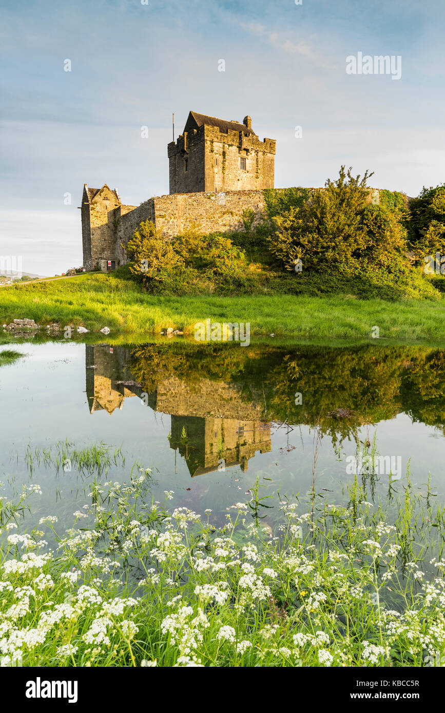 Dunguaire Castle, nella contea di Galway, connacht provincia, Repubblica di Irlanda, Europa Foto Stock
