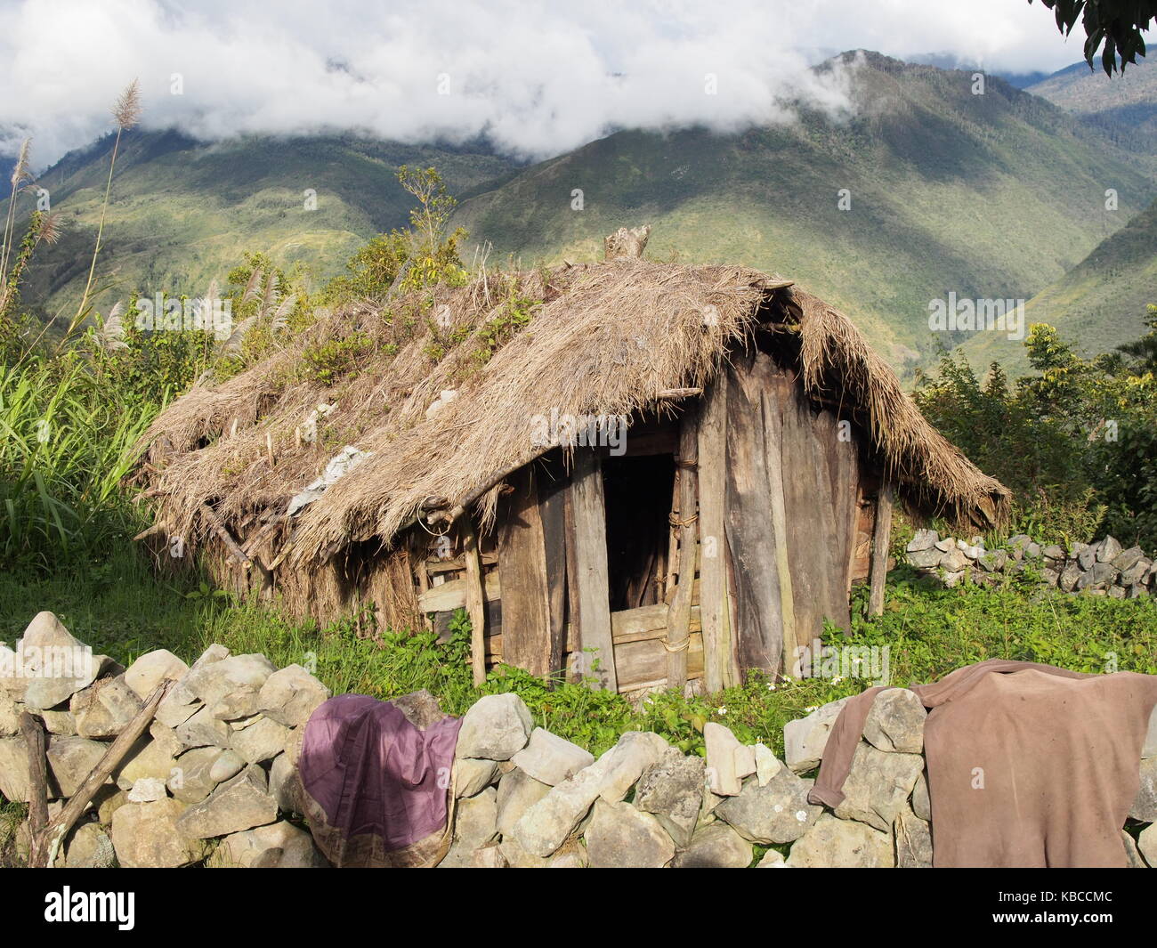 Porcile in un villaggio dani in Il Baliem Valley, Papua, Indonesia Foto Stock