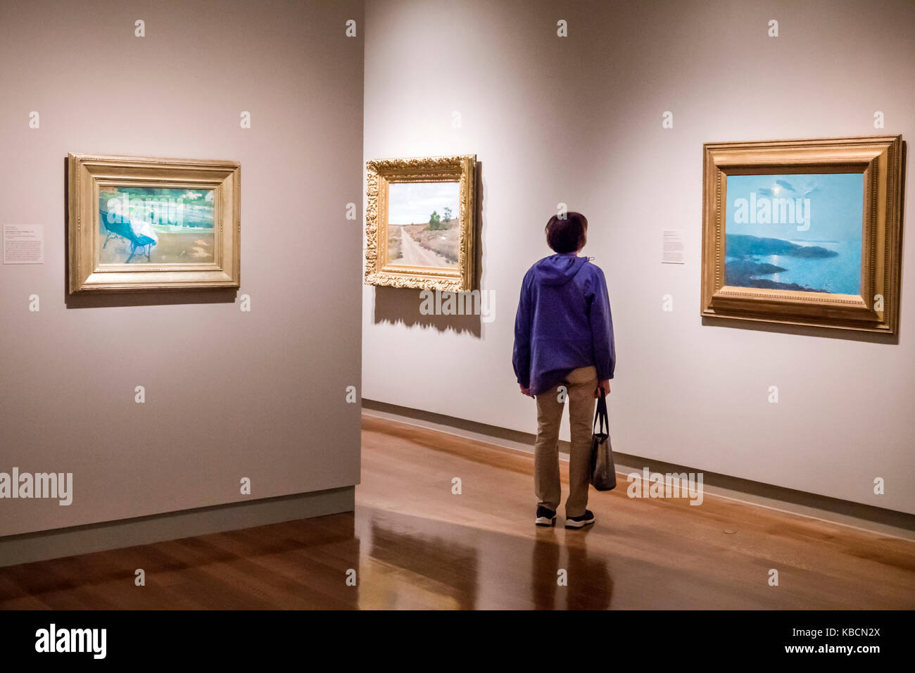 Richmond Virginia, Virginia Museum of fine Arts della Virginia, VMFA, McGlothlin Collection of American Art, Impressionismo, Childe Hassam, Mary Cassatt, gallerie d'arte, i Foto Stock