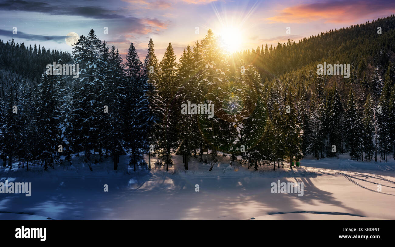 Il giorno e la notte e cambiare idea in inverno bosco di abete rosso. Uno splendido scenario del magico paesaggio Foto Stock