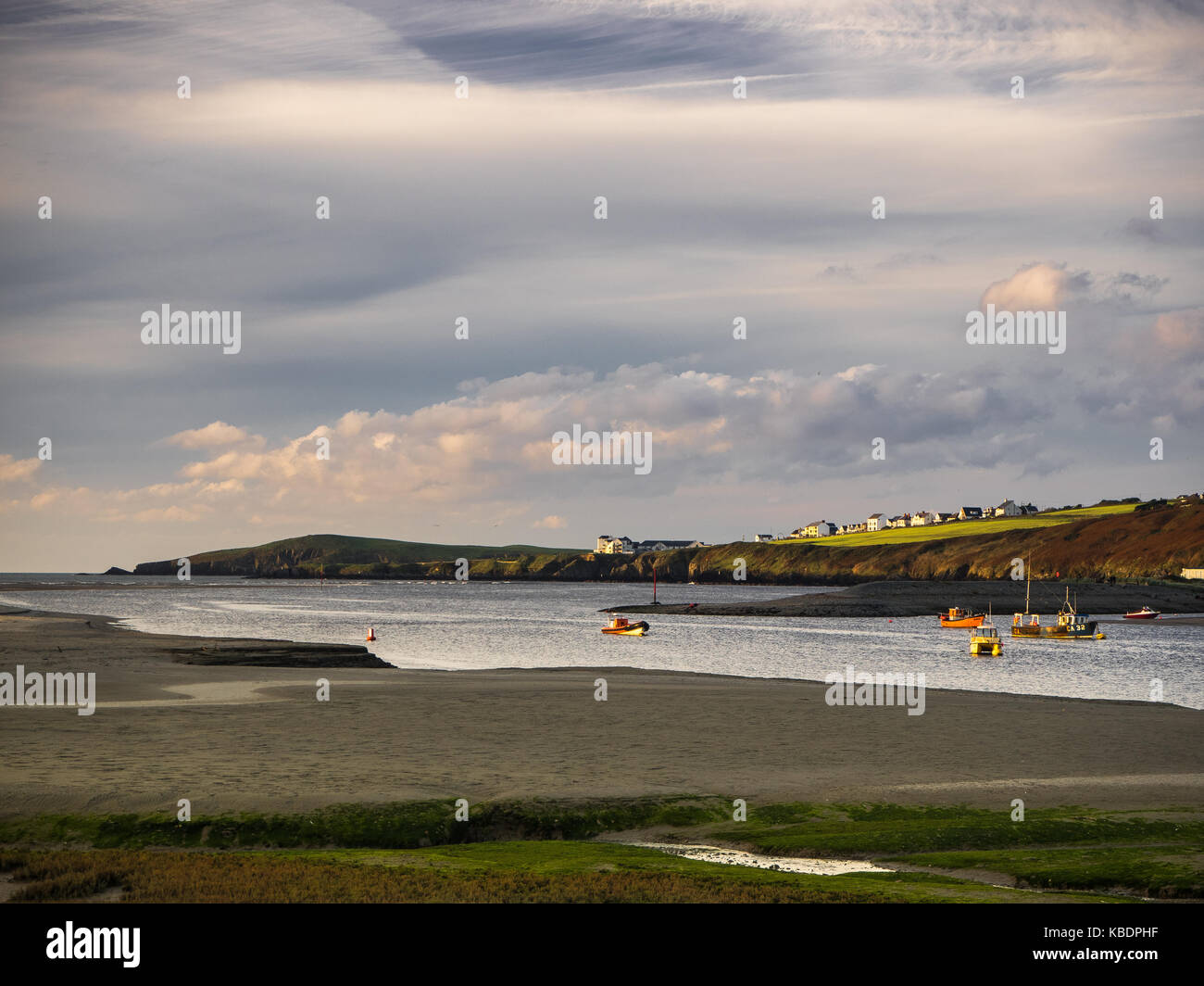 Fiume teifi estuary, st dogmaels Foto Stock