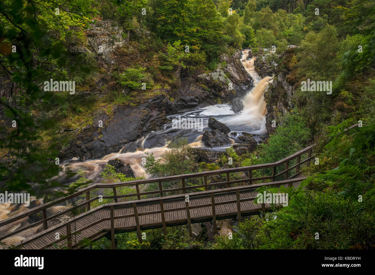 Rogie Falls, Blackwater, Highlands, Scozia, Regno Unito Foto Stock
