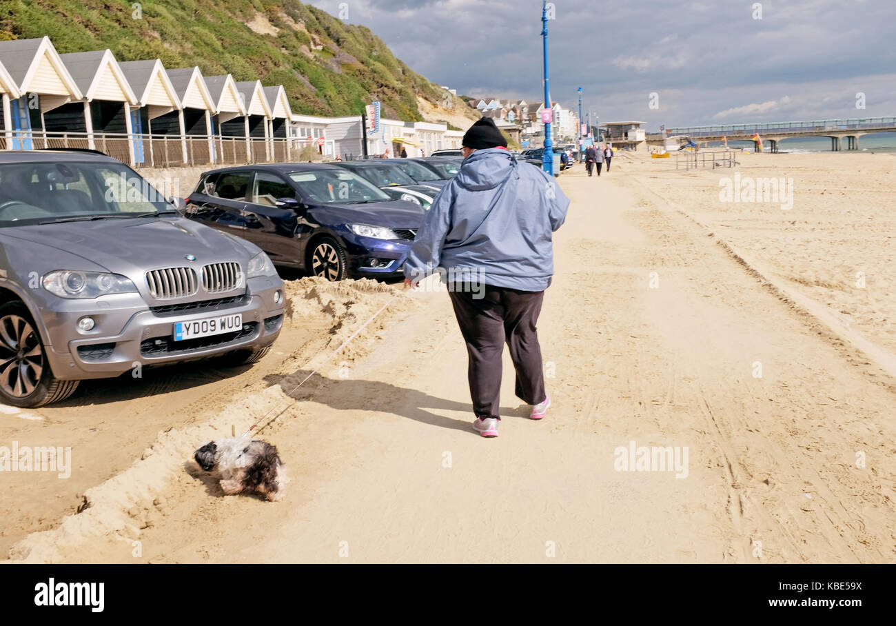 Bournemouth settembre 2017 - donna in sovrappeso che esercita il suo cane sulla spiaggia Foto Stock