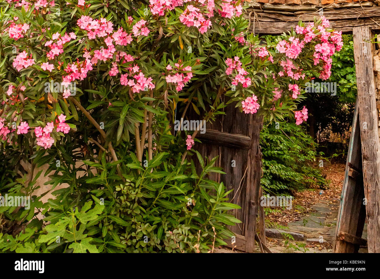 Vecchia casa abbandonata Foto Stock