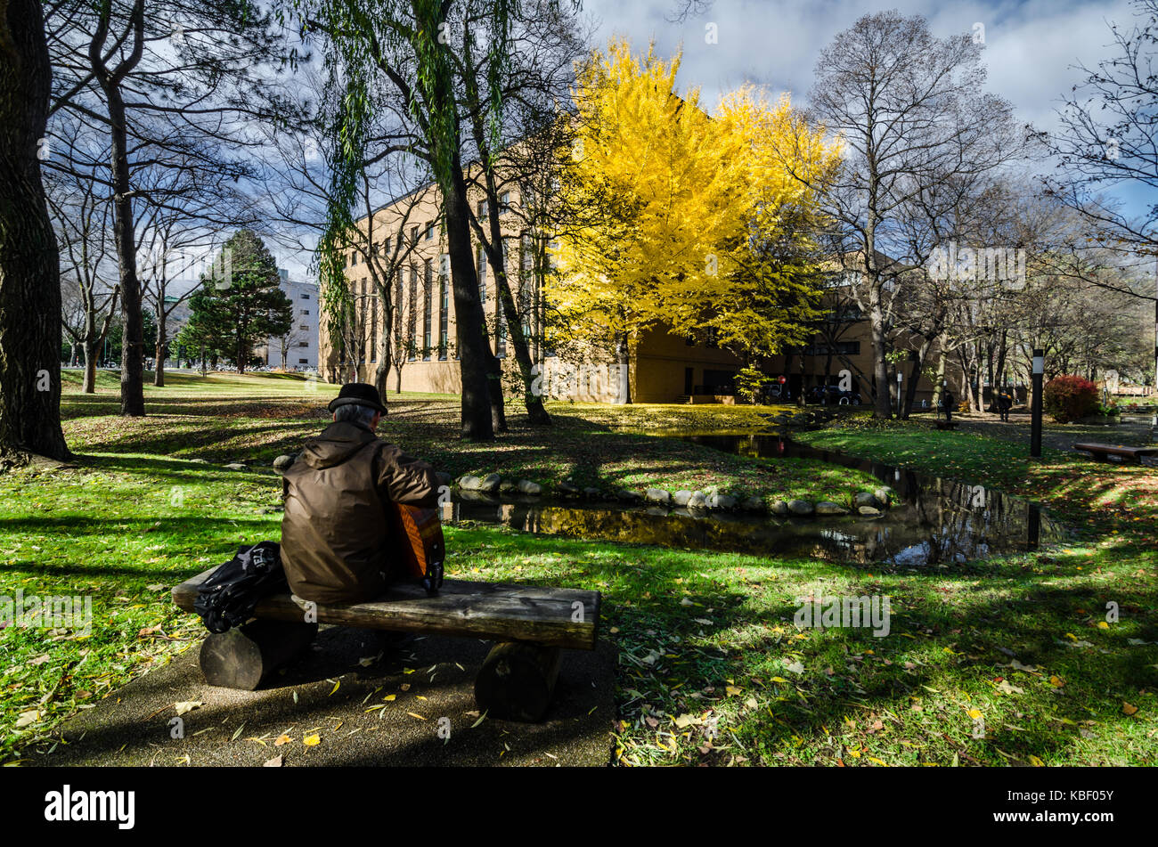 Vista autunnale presso università hokkaido. l università è un hotspot del turismo durante la stagione autunnale come verrà riempito con golden ginkgo tree. Foto Stock