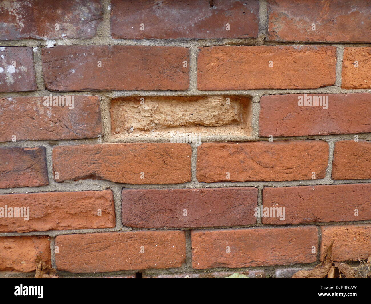 Danni ambientali per murature in mattoni. Foto Stock