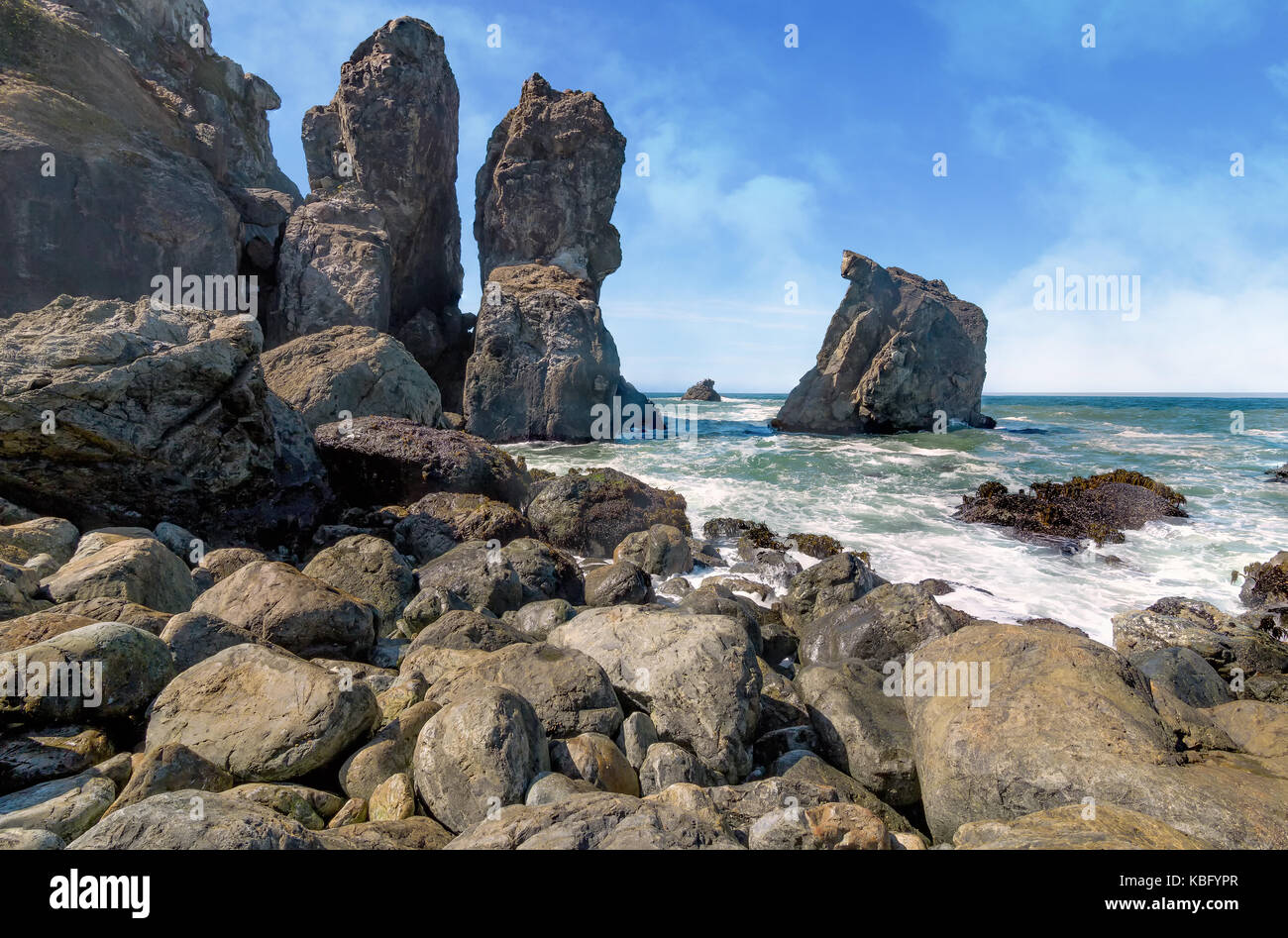 Spiaggia rocciosa e paesaggio, immagine a colori, Pacific Northwest Foto Stock