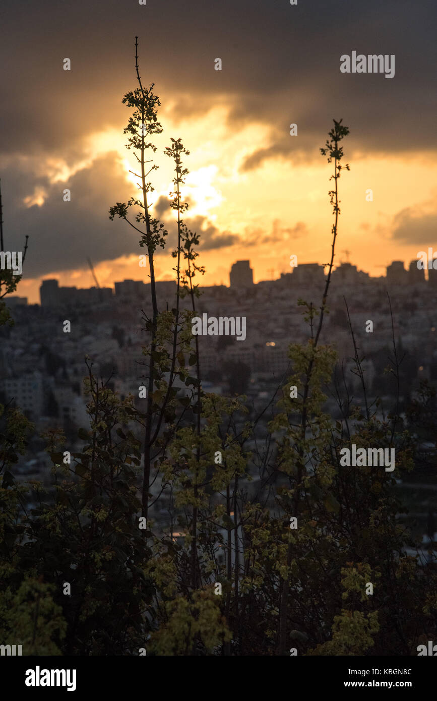 Vedute di Gerusalemme dal Monte Scopus sul Monte degli Ulivi, Gerusalemme Foto Stock