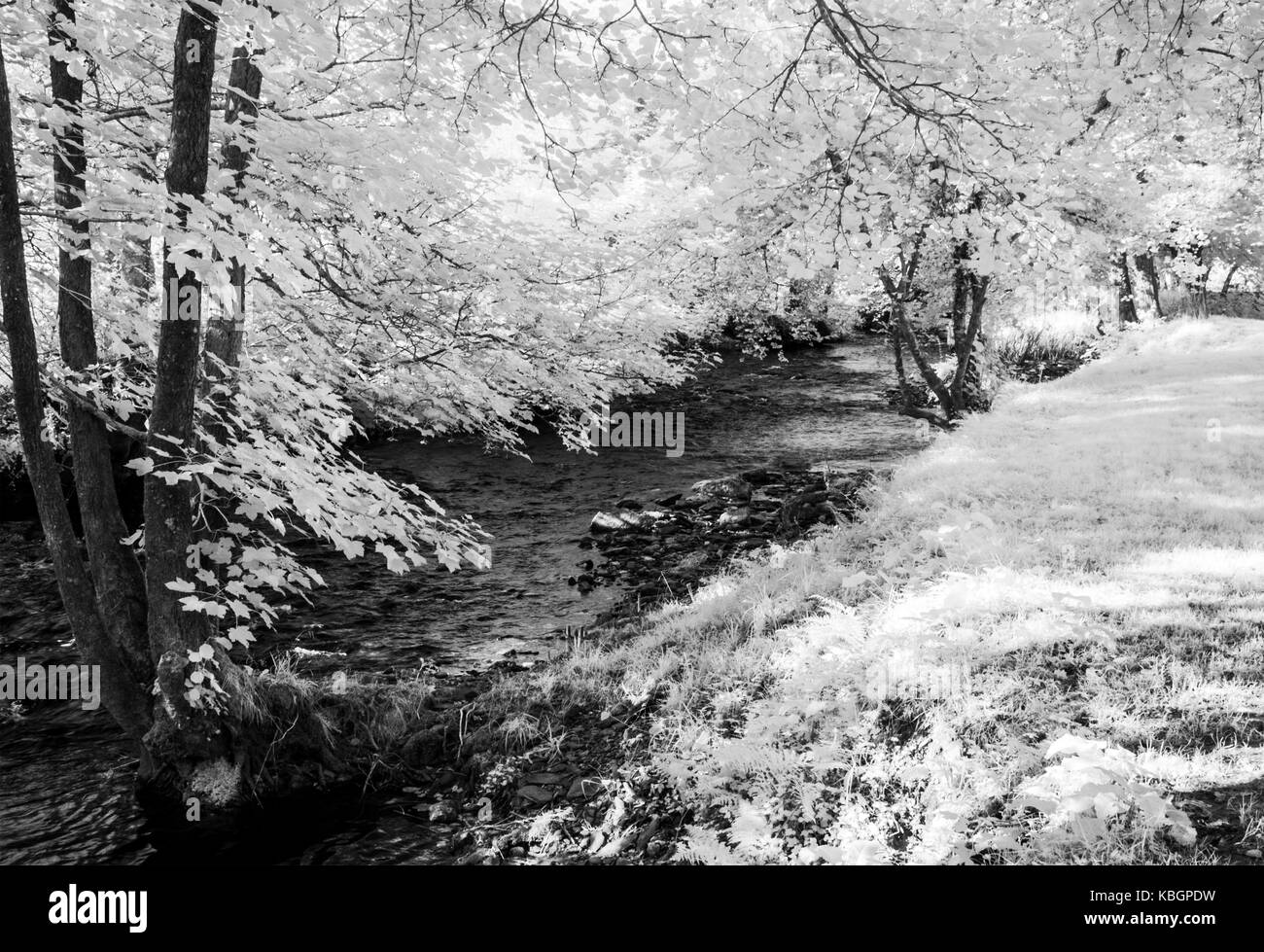 Il fiume Exe nel Parco Nazionale di Exmoor shot a raggi infrarossi. Foto Stock
