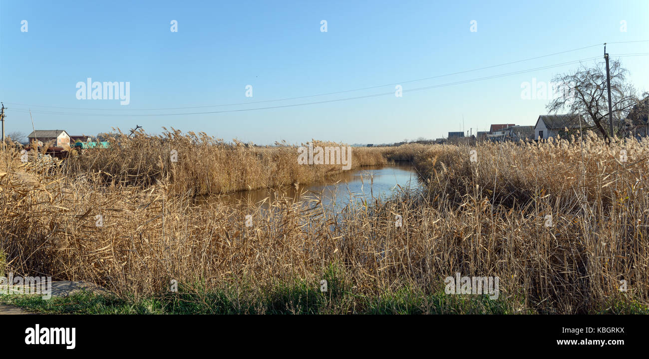 Paesaggio autunnale a secco con canneto di falasco nella luce del sole sulla laguna di acqua stagnante banche in Peschanka villaggio del distretto di Novomoskovsk in Dnepropetrovsk Area, Regno Unito Foto Stock