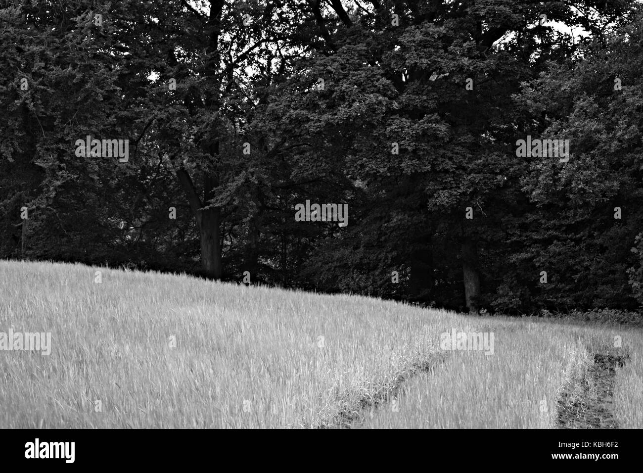 Wiliam docherty ero a piedi intorno twechar. Che cosa è un piccolo villaggio minerario in East Dunbartonshire in Scozia. Foto Stock
