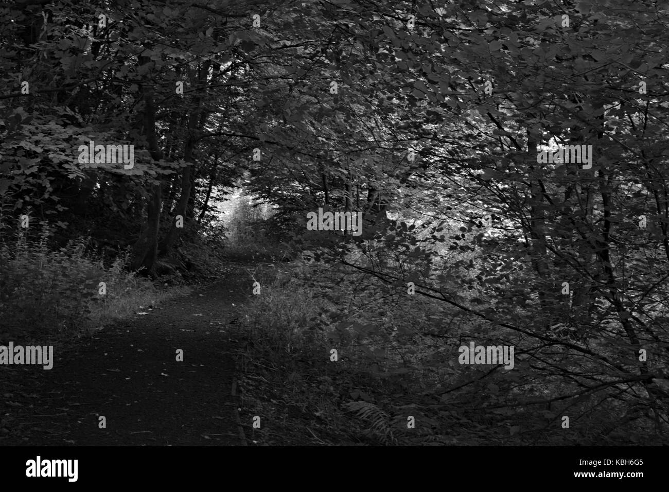 Wiliam docherty ero a piedi intorno twechar. Che cosa è un piccolo villaggio minerario in East Dunbartonshire in Scozia. Foto Stock